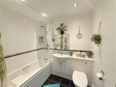 Picture 7